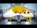 How Sunflower Oil Is Made - Amazing SUNFLOWER OIL in the Largest Factory (Full Process)