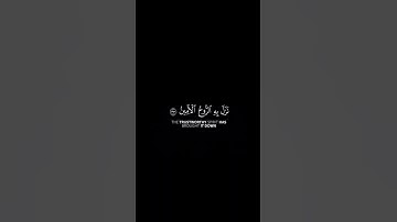 ما تيسر من سورة الشعراء | القرآن الكريم | القارئ ماهر المعيقلي | كروما