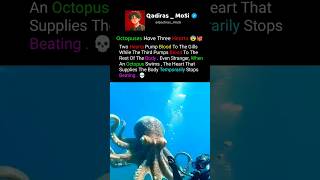 Why Octopuses Have Three Hearts And Blue Blood ?  😨🐙 #shorts