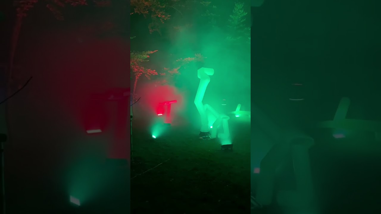 Signal Festival 2021, for a symbolical price you can bring “trees” alive! 