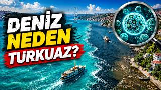 İstanbul Boğazı Neden Turkuaz Oldu? Marmara’daki Renk Değişiminin Gerçek Sebebi