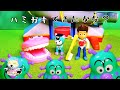 PAW Patrol パウパトロール (#1617) エベレスト、ちゃんとはみがきできたかな？むしばきん が ねらっているぞ！ Don't Want to Brush teeth!