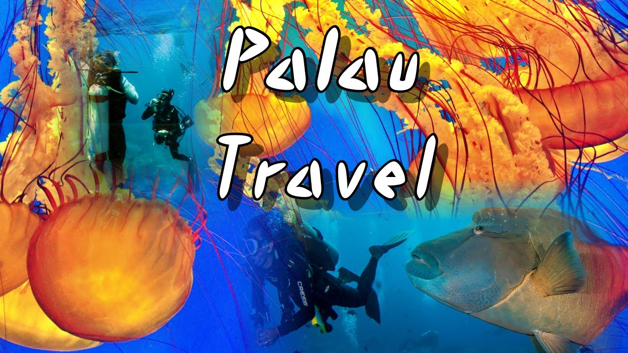 Exploring Palau: Enchanting Natural Landscapes and Cultural Experiences