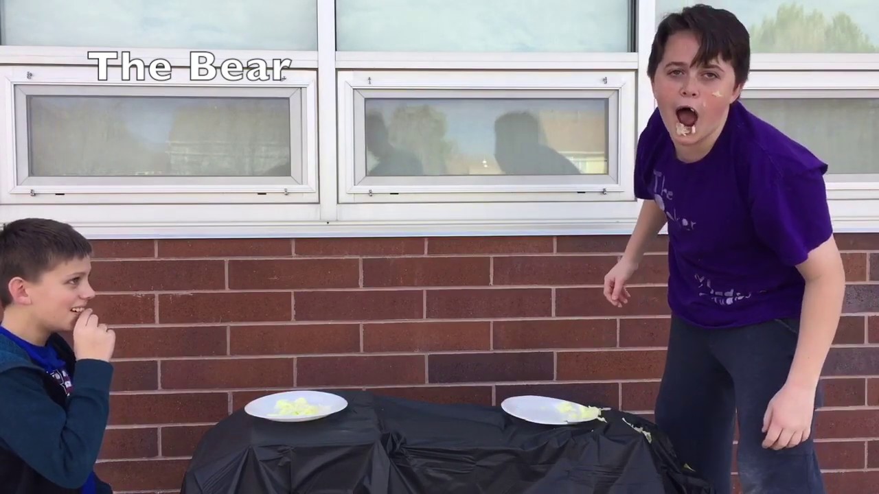 How Animals Eat Their Food