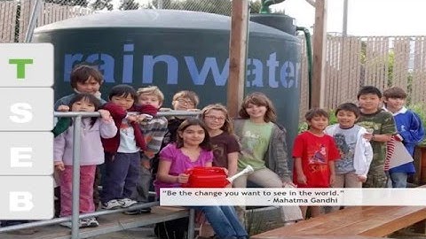 DSA 7x7x7 Module 7: Lionakis