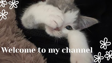 Intro video | Get to know me 🤍