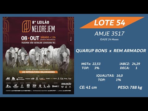 LOTE 54