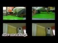 VIDEOBLOG#2-BOX-...  COLLAB-500 SUBS GREEN SCREEN