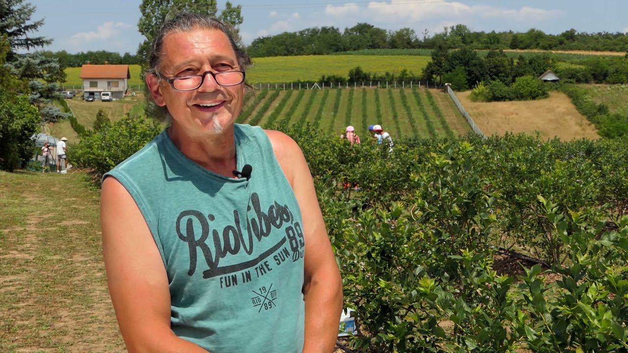 Domaćine kako radiš 12.07.2021. Uzgoj borovnica, Vodice, Lunjevac