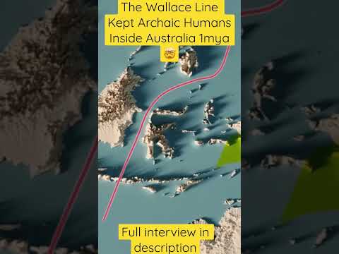The Wallace Line