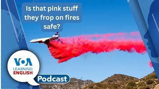 Defining obesity, Winter gardening, Pink fire retardant, Talking about fun activities