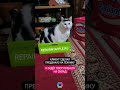 Как купить новый iPhone в Нижнем Новгороде