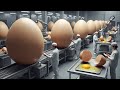 Chicken Mega Factory: Inside Modern Egg Incubation &amp; Broiler Raising Technology 🐣