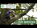 Guildford Tree Surgeons provide qualified and fully insured tree surgeons in Surrey, Hampshire and throughout the South of England.

Our experienced arborists are highly trained and well equipped to carry out a wide range of tree surgery tasks including: 

Tree Felling & Removal
Tree Pruning, Crown Reductions and Crown Lifting
Tree pollarding
Stump Grinding
Emergency Tree Surgeon Response
Tree Planting
Hedge Cutting & Maintenance
Garden, Land & Site Clearance
Tree Surveys
TPO Applications

For more information about our company and our services, or to arrange free no obligation quotation visit https://guildfordtreesurgeons.co.uk or call 01483 910361

#guildfordtreesurgeons #treesurgeonsurrey

Timecodes
0:00 - Intro to Guildford Tree Surgeons 
0:05 - Tree Surgery in Surrey
0:10 - Tree Felling in Surrey
0:15 - Tree Pruning in Surrey
0:20 - Stump Grinding in Surrey
0:25 - Hedge Cutting in Surrey
0:30 - Tree Planting in Surrey
0:35 - Garden, Land & Site Clearance in Surrey
0:40 - Emergency Tree Surgeon in Surrey
0:45 - Outro 

Subscribe to our channel for the latest Guildford Tree Surgeon news, Tree surgeon tips, Tree care advice and other useful tree surgery information including "How to choose a tree surgeon", "When to prune a fruit tree" and much, much more.