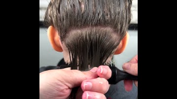 Small Clumps & Large Clumps Brushes on wet hair