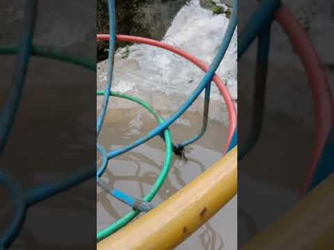 Banjir semalaman dan akhirnya banjir gede . Banjir semalaman dan akhirnya banjir gede .