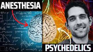 Is anesthesia a legal psychedelic trip?
