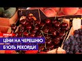 Золота черешня: у Луцьку по 700, у Києві по тисячі гривень за кілограм