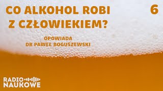 Naukowy przewodnik po imprezie, czyli dlaczego alkohol zmienia nasze zachowanie? | dr P. Boguszewski