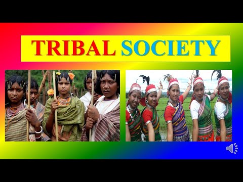 What is tribal society?
