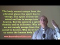 The Bible and evolution