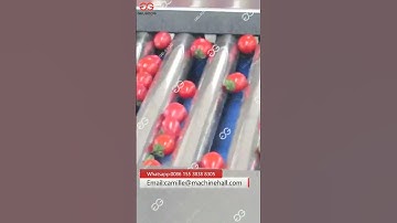 Automatic Cherry Tomato Grading Machine