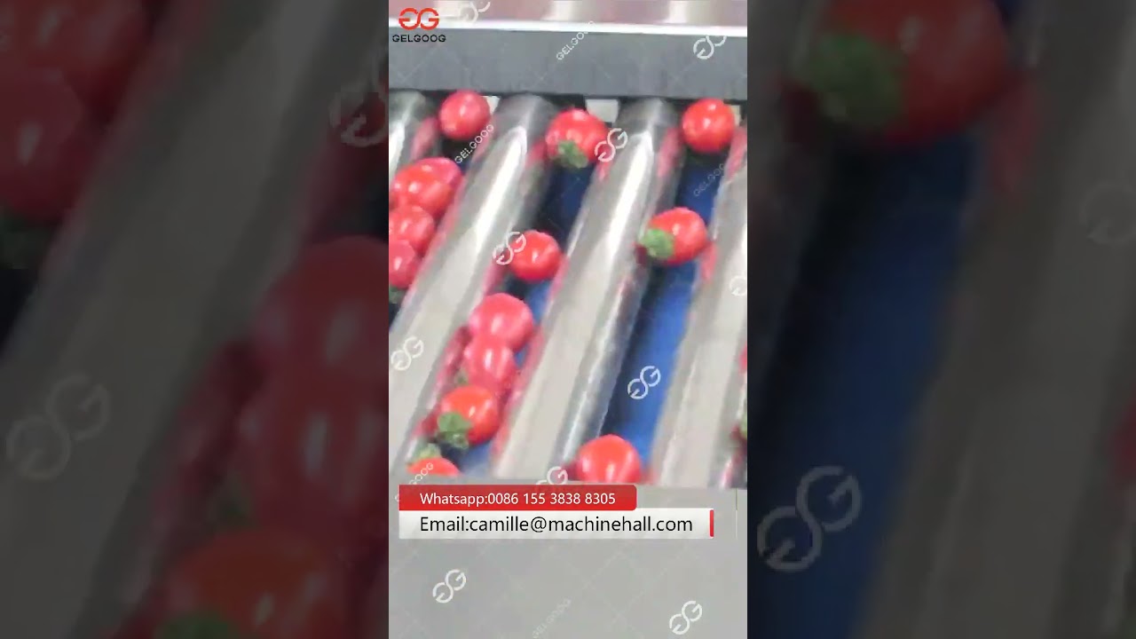 Automatic Cherry Tomato Grading Machine