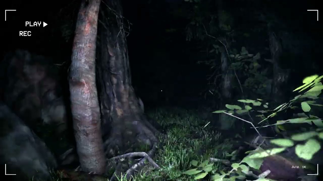 Странная прогулка по лесу НОЧЬЮ😴