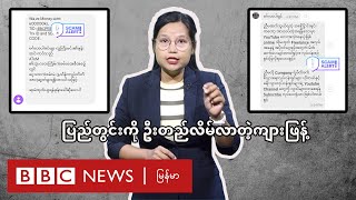ပြည်တွင်းကို ဦးတည်လိမ်လာတဲ့ကျားဖြန့် - BBC News မြန်မာ