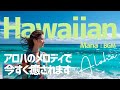 【爽快ハワイアンBGM】青い空と海|風を感じるアロハミュージック🌊