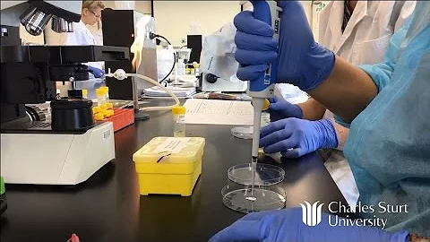 Residential School at CSU