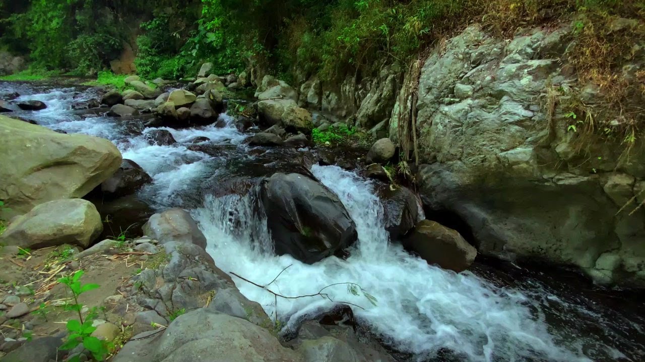 Soothing River Sounds for Meditation | Gentle Water Flow Ambience