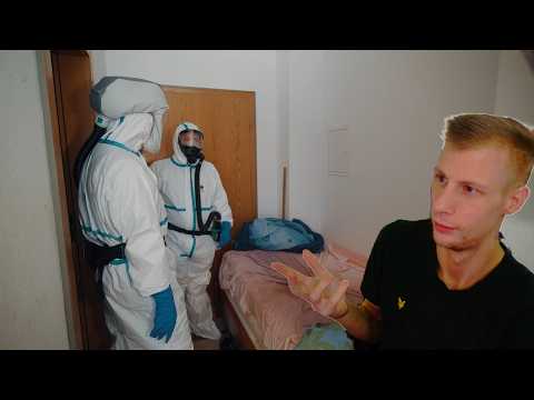 So hart ist der Job als Tatortreiniger wirklich! (Tomatolix) | Lionszone Reaktion