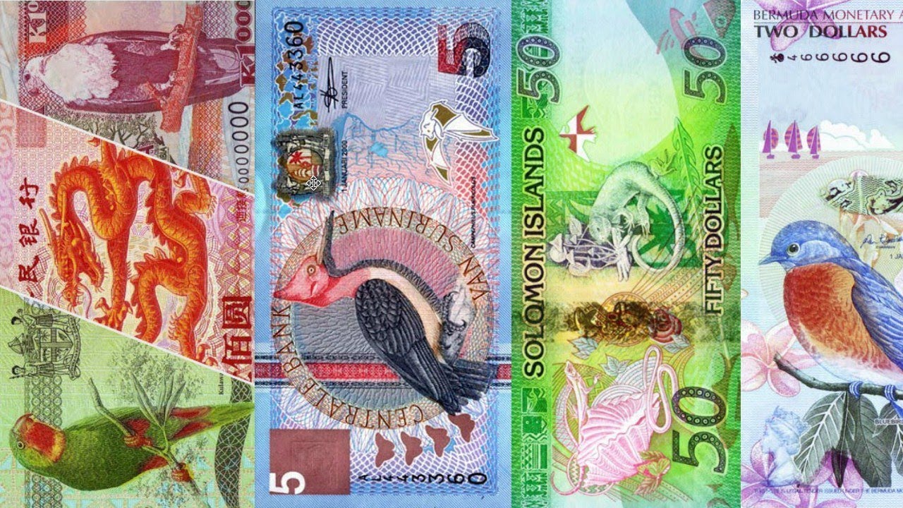 Beautiful money ideal. Beautiful World Banknotes. The most beautiful Banknotes. Modern Design of Banknotes. Все купюры ворлд Экспо.