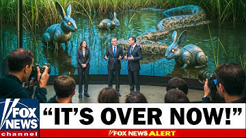 Florida Released HUNDREDS of Robotic Rabbits To Kill Pythons What Happened Next Shocked Everyone