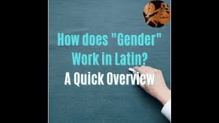 How does Gender work in Latin?