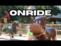 DierenMolen - Onride - JThemeparks