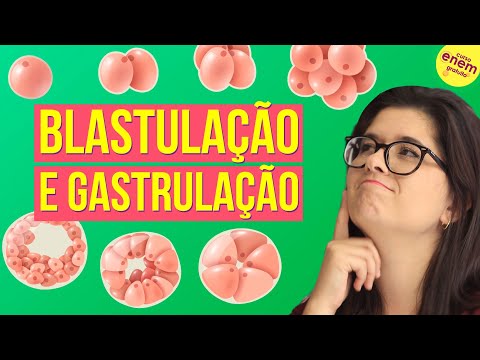 Vídeo: Diferença Entre Gastrulação De Sapo E Pintinho