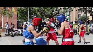 Whatsapp Video 2024 05 14 At 10 08 13
