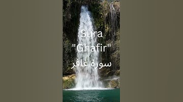 Sura "Ghafir"/سورة غافر #quran #shortvideo #Sura "Ghafir"
