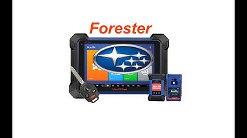 2015 Subaru Forester All Keys lost | with Autel IM608