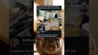 These Kitchen Cupboards Finally Gave Up On Life After Carrying Too Much Burden Every Day