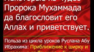 Некоторые из чудес Пророка Мухаммада да благословит его Аллах и приветствует