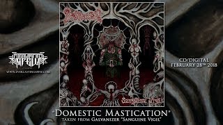 Galvanizer Domestic Mastication Official Streaming Video