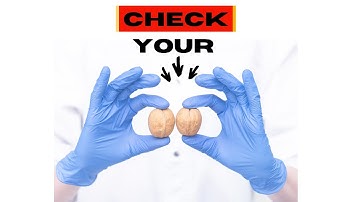 How to examine your TESTICLES
