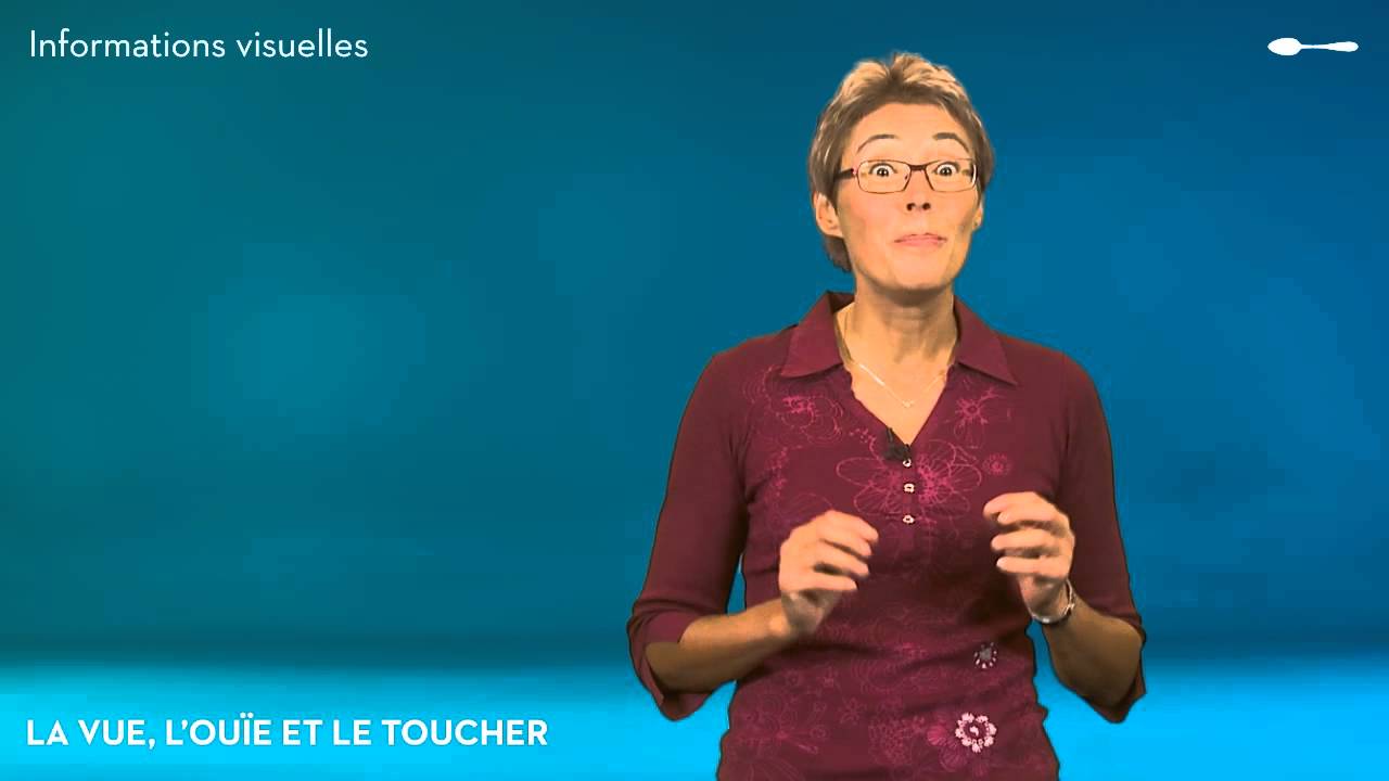 L'alimentation et les 5 sens - Manger des yeux