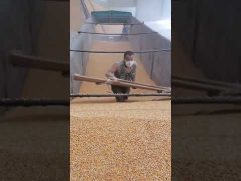 Мир технологии.#4294 #satisfyingvideo#satisfying#oddlysatisfying#shorts