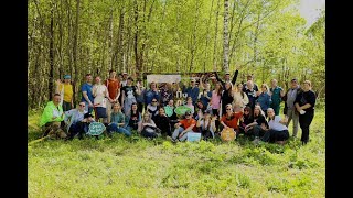 Forest Day: сосновый лес своими руками