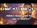 أول ظهور لأم الجود يوم رمضاني كامل معنا
