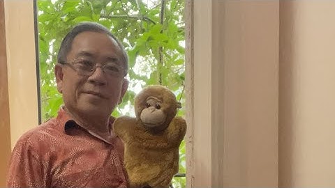 Trồng cây Lộc Vừng có lợi ích gì @KST.38VL